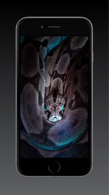 Snake Wallpapers HD android App screenshot 4